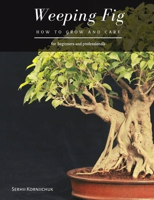 Weeping Fig: How to grow and care by Korniichuk, Serhii