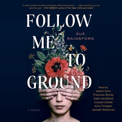 Follow Me to Ground by Rainsford, Sue