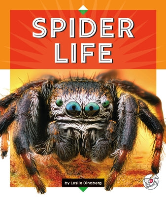 Spider Life by Dinaberg, Leslie