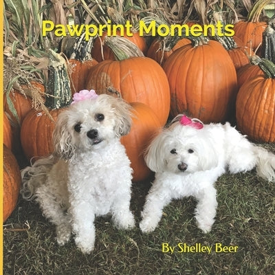 Pawprint Moments by Beer, Shelley