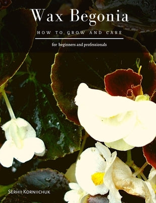 Wax Begonia: How to grow and care by Korniichuk, Serhii