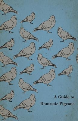 A Guide to Domestic Pigeons - With Chapters on Doves, Training and Their Habits by Anon