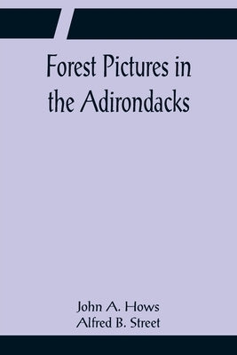 Forest Pictures in the Adirondacks by A. Hows Alfred B. Street, John