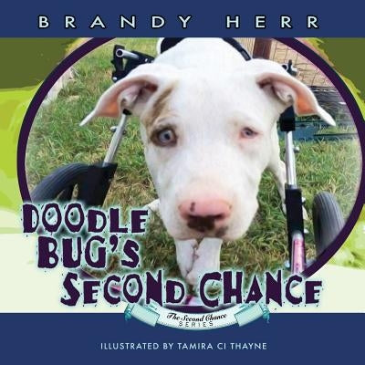 Doodle Bug's Second Chance by Thayne, Tamira