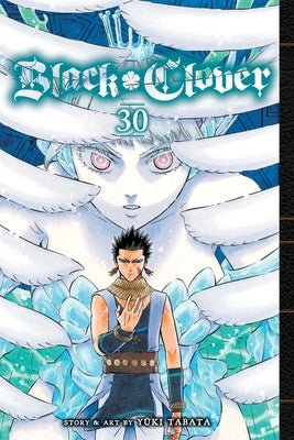 Black Clover, Vol. 30: Volume 30 by Tabata, Yuki