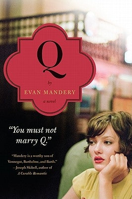 Q: A Novel by Mandery, Evan