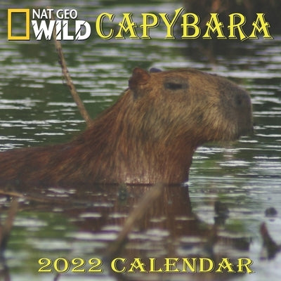 Capybara Calendar 2022: CAPYBARA calendar 2022 "8.5x8.5" Inch 16 Months JAN 2022 TO APR 2023 finished and Glossy by World Pub, Animal