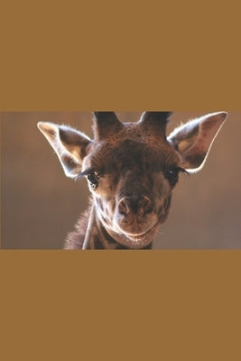 Baby Giraffe by Publishing, Happy Paw