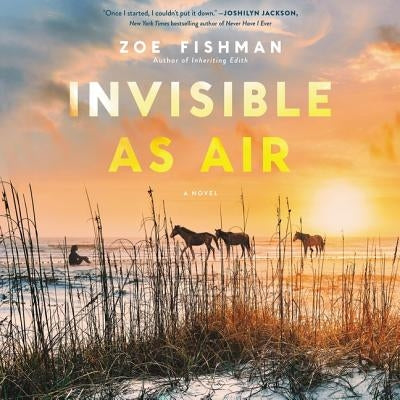 Invisible as Air by Ciulla, Chris Andrew