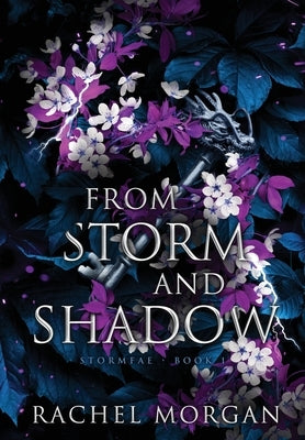 From Storm and Shadow by Morgan, Rachel